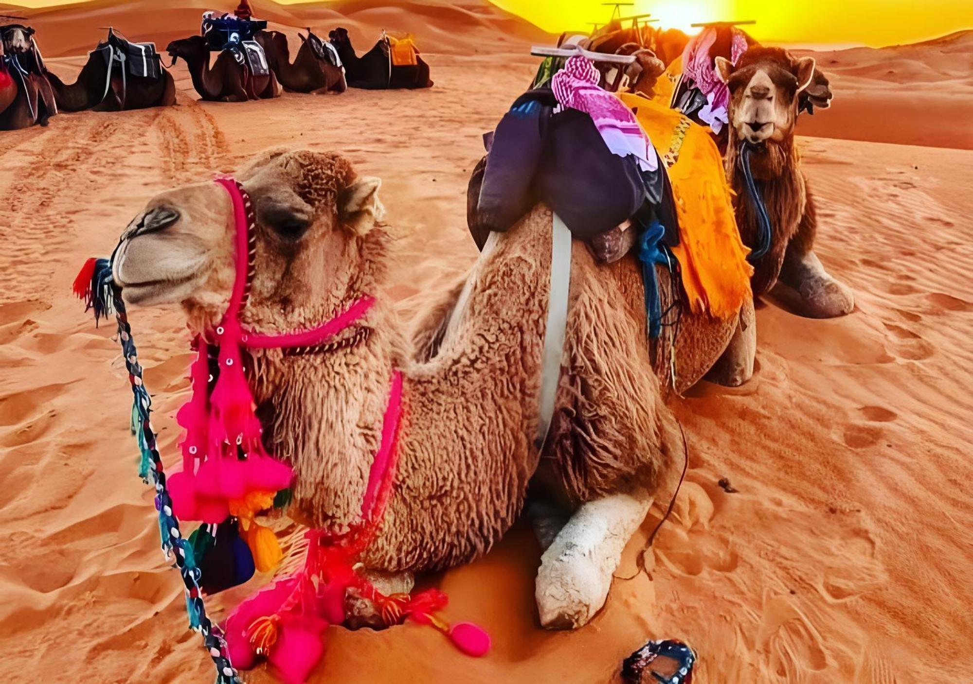 Top Desert Luxury Camp Мерзуга Экстерьер фото
